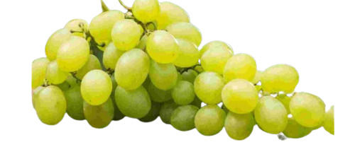 1 Kilogram Sweet Taste Natural And Fresh Green Grapes