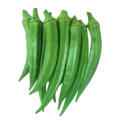Healthy And Natural Rich In Vitamins Highly Nutritious Fresh Green Lady Finger