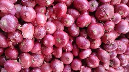 Healthy Naturally Grown Enhancing Taste Vitamins Rich Raw Red Onion Moisture (%): 86%