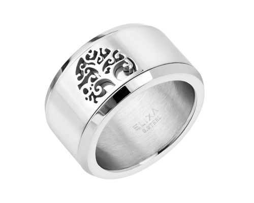 stainless steel ring