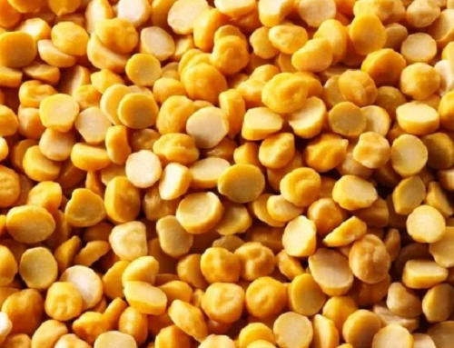 Easy To Digest Commonly Cultivated Dried Semi Round Splited Chana Dal