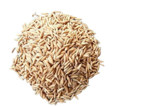 High In Protein Dried Long Grain Rice Paddy Seeds