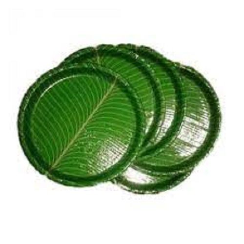 Rolled Rom Round Plain Single Use Disposable Paper Plates Application: For Eating