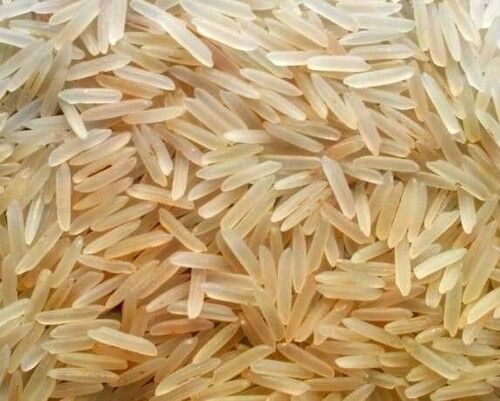 Pure And Dried Commonly Cultivated Long Grain Sharbati Sella Basmati Rice 