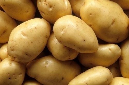 Commonly Cultivated Brown Fresh Potatoes