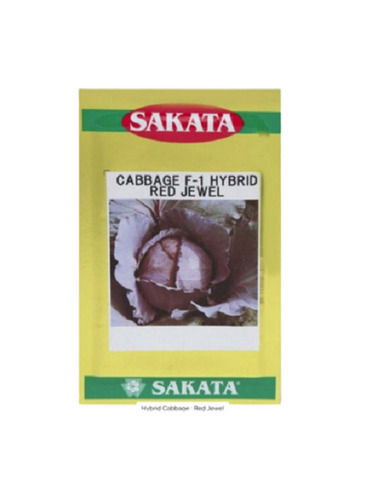 Sakata F1 Hybrid Type Food Grade Red Jewel Variety Cabbage Seeds, 500 Gram Admixture (%): 8%