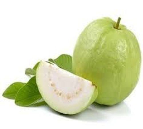 Rich Taste Organic Sweet Round White Guava