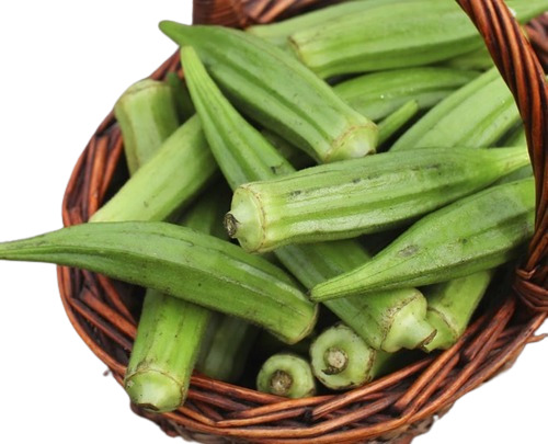 Commonly Cultivated Natural Healthy And Fresh Raw Lady Finger Or Bhindi - Moisture 14%, Shelf Life 7 Days, Oblong Shape | Ideal For Cooking Various Recipes, Best When Eaten Raw