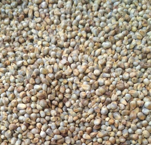 1 Kilogram Dried And Natural Feed Grade No Smell Granules For Round Millets Cattle Feed