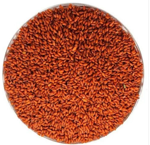 100% Pure And Natural Commonly Cultivated A Grade Dried Asaliya Seeds