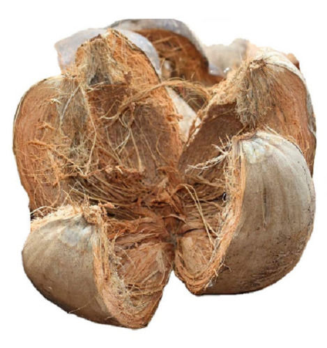 100 Percent Organic And Solid Form 30% Fiber Raw Coconut Husks