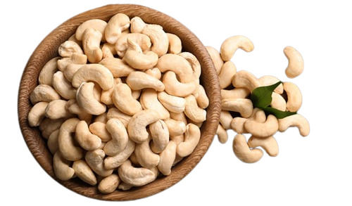 Healthy And Nutritious Rich In Taste Commonly Cultivated Crunchy Dried Cashew Nuts