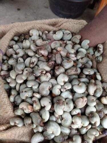Raw Cashew Nuts For Human Consumption And No Preservatives