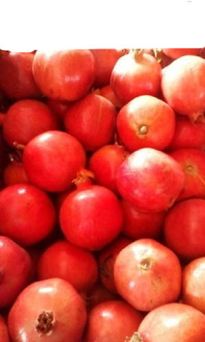 High Nutritional Value Antioxidant Commonly Cultivated Sweet Raw Pomegranate