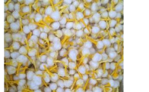 ध्यान और आध्यात्मिक प्रार्थनाओं के लिए सफेद हिंदू धर्म की थीम वाली गोल सादा कपास की बाती