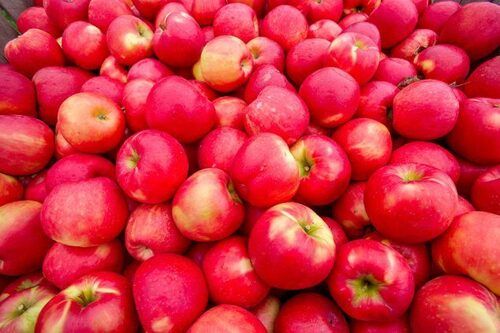 Common Organic Natural Round Red Sweet Fresh Apple Fruit