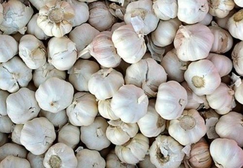 Pure And Fresh Round Raw And Whole Garlic With 59% Moisture 