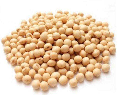 100 Grams 99% Pure Commonly Cultivated Oval Dried Soybean Seeds