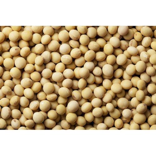 Low In Saturated Fat Tasty Healthy High Level Protein And Fibre Natural Soybean Seed