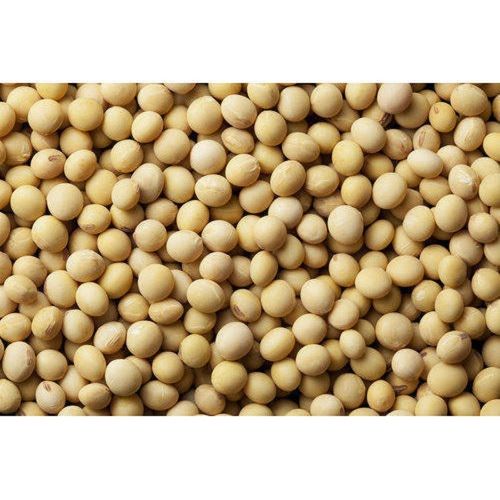 Low In Saturated Fat Tasty Healthy High Level Protein And Fibre Natural Soybean Seed Admixture (%): 99%