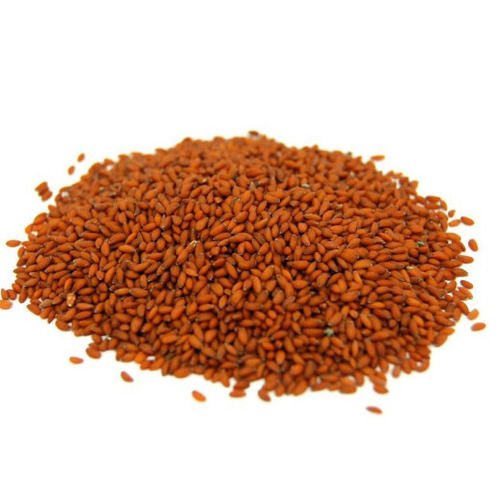 99% Pure Organic Commonly Cultivated Sunlight Dried Asaliya Seeds