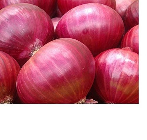 Protects Against Heart Disease Healthy And Round Red Onion Moisture (%): 2%