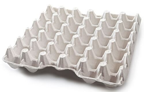 Paper Pulp Egg Tray at Best Price in Sonipat