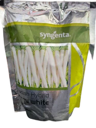 A Grade Commonly Cultivated 99% Pure And Natural Radish Seed, 250 Kilogram Pack