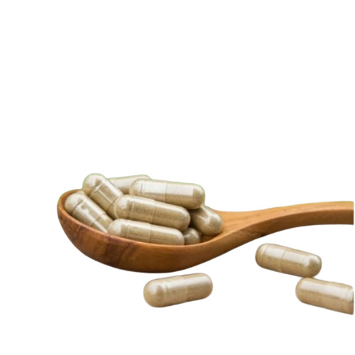 100 Percent Purity Medicine Grade Pharmaceutical Herbal Ayurvedic Medicines