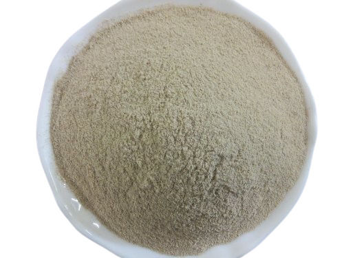 Grey Blended Sweet Salty Dried Dry Place Amchur Powder