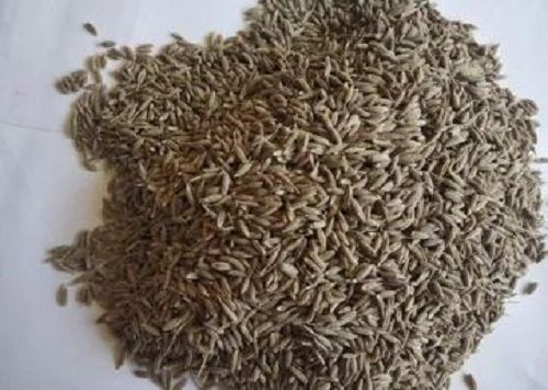 Brown Spicy Taste Pp Bag Packing Cumin Seeds (Jeera)