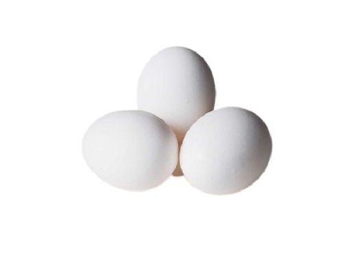 Chicken Origin Oval Shape Poultry Farm Fresh Healthy Kadaknath Egg