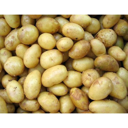 Goodness Of Nutrients Antioxidants Gluten Free Versatile Small Potatoes 