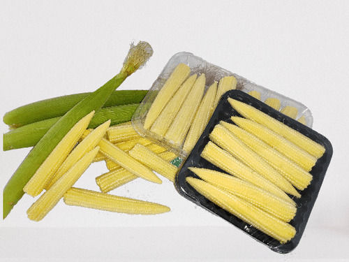 A Grade Nutrient Enriched Healthy Pure Natural And Fresh Baby Corn