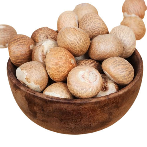 Commonly Cultivated Dried Whole Areca Nuts