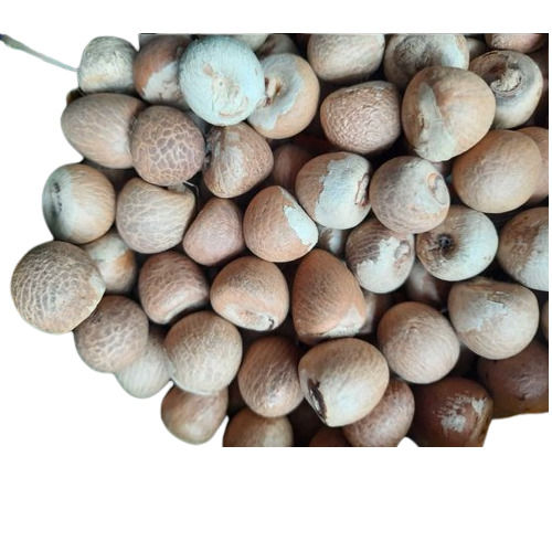 Whole Areca Nuts