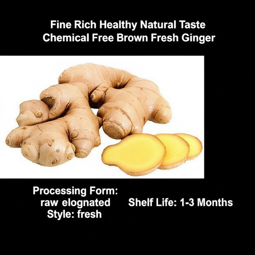 Fresh Ginger - 20kg and 5kg Sizes | Chemical Free, Natural Taste, Safe Packaging