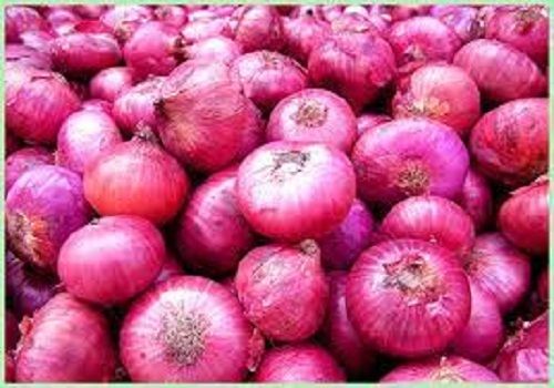  Source Of Vitamins And Potassium Anti Oxidant Fresh Onions