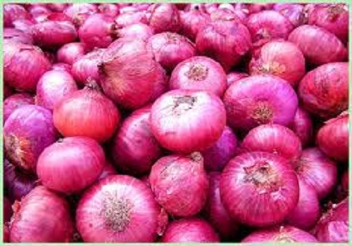 Organic Fresh Onions, Source Of Vitamins And Potassium Anti Oxidant Moisture (%): %