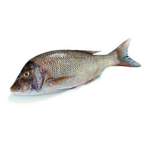 Filled Essential Nutrients Like Omega-3 Fatty Fresh Emperor Fish For Cooking 
