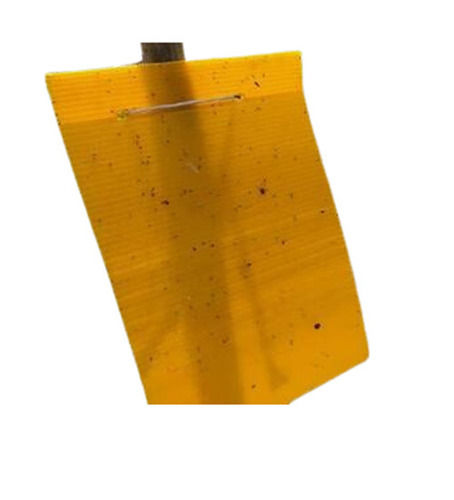 Yellow Sticky Trap Or Insect Killer