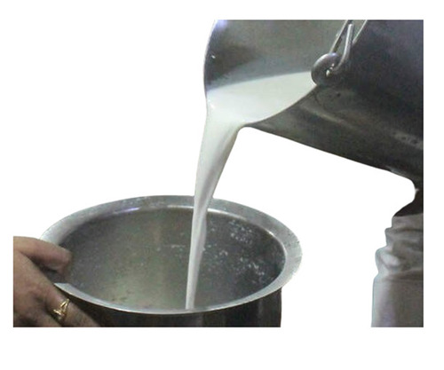 Pure Fresh Cow Milk - A Grade Evaporated Liquid, 100% Pure Nutrition Enriched, Preservative-Free, Rich Source Of Essential Vitamins, Minerals, Proteins, Calcium & Potassium