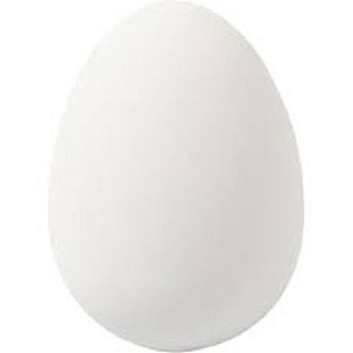 White Broiler Chicken Egg