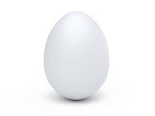 White Fresh Poultry Egg