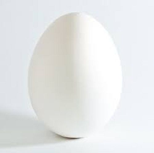 White Fresh Poultry Eggs