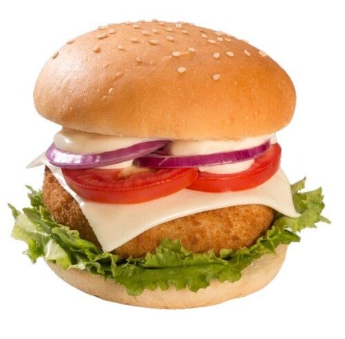Fry And Serve Frozen Veg Burger Patty