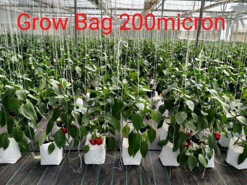A Comprehensive Guide to Preparing a Grow Bag for Gardening: Tips and –  Organixrosa