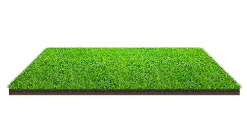 Rectangular Decorative Artificial Garden Grass For Indoor And Outdoor Use