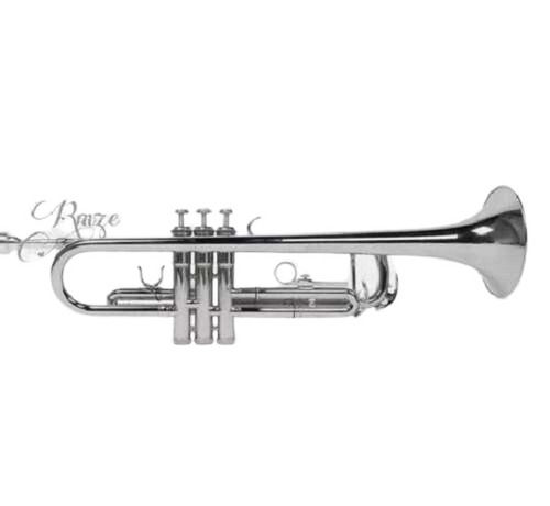 Black Rmze Professional Edition Ees-08 Silver Bb Trumpet