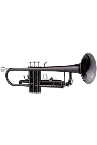 Brass Trumpet Black Color at Rs 4500  ट्रम्पेट in Meerut